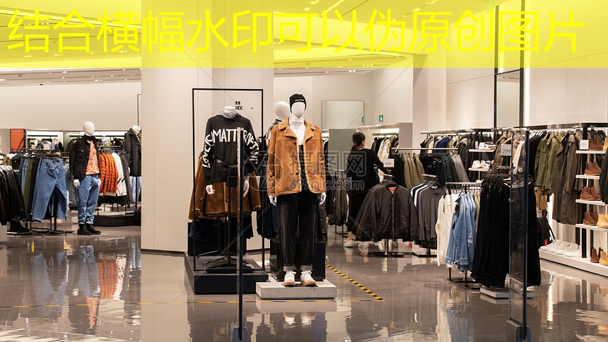 什邡城市绿化树木图片 什邡城市绿化树木图片