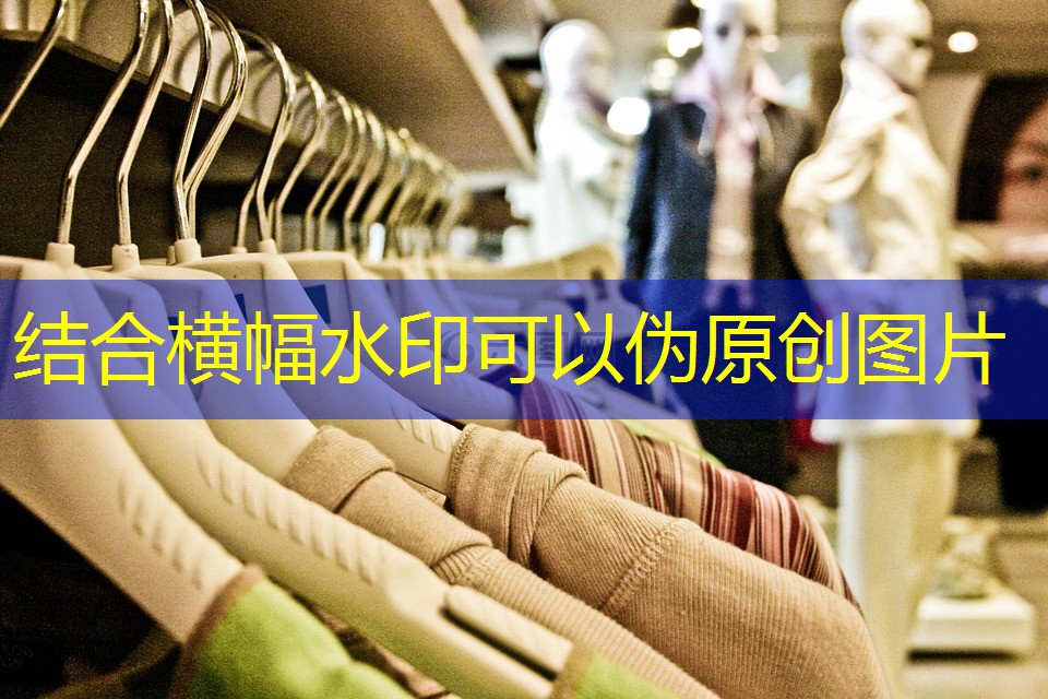 保山宜良绿化树苗批发市场 保山宜良绿化树苗批发市场