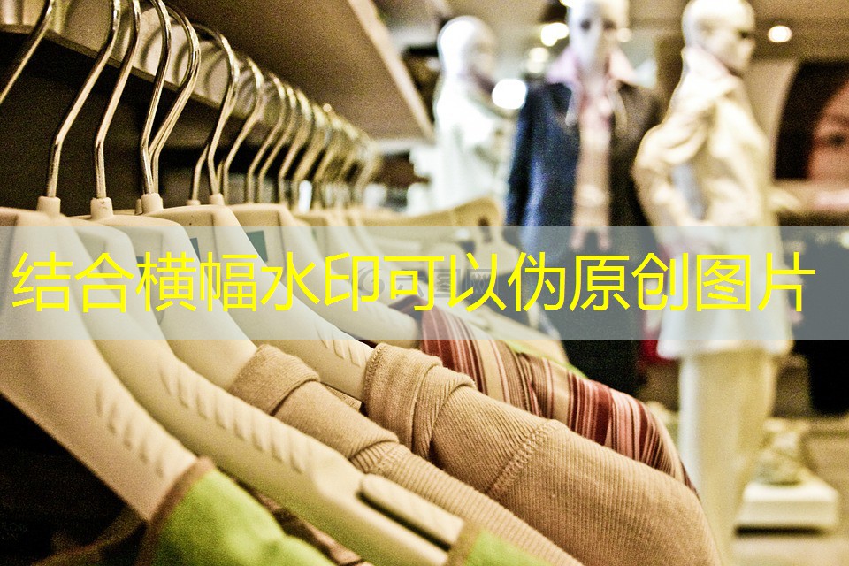 南宫绿化树品种有哪些 南宫绿化树品种有哪些