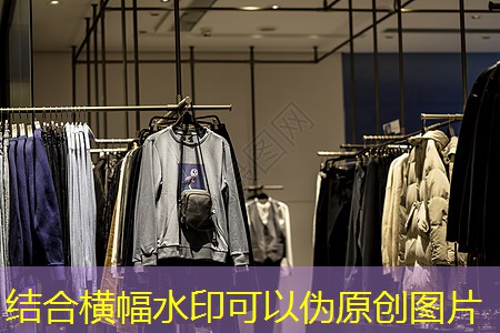 大丰市政道路绿化树苗种类有哪些 大丰市政道路绿化树苗种类有哪些