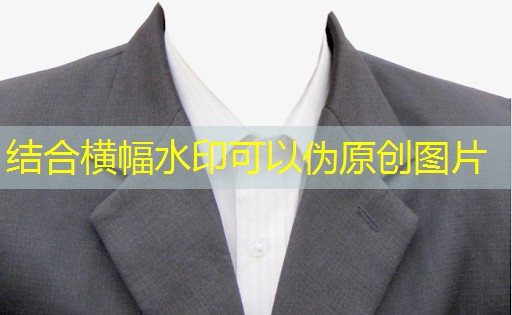 园林绿化工程造景方案模板 园林绿化工程造景方案模板