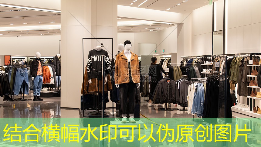 千秋绿化工程苗树 千秋绿化工程苗树